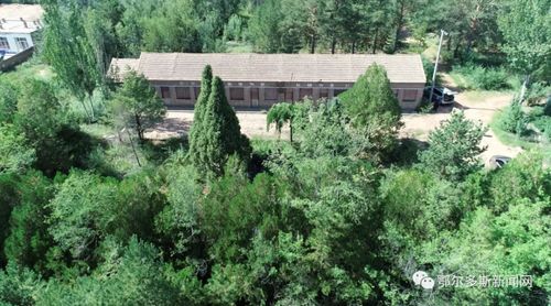 林業(yè)老兵黃達(dá)來的綠色情懷